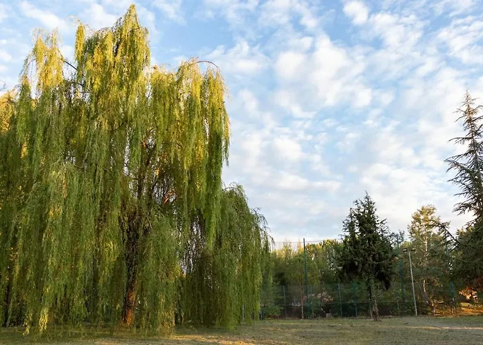 Villa Manetta - Main House Recanati